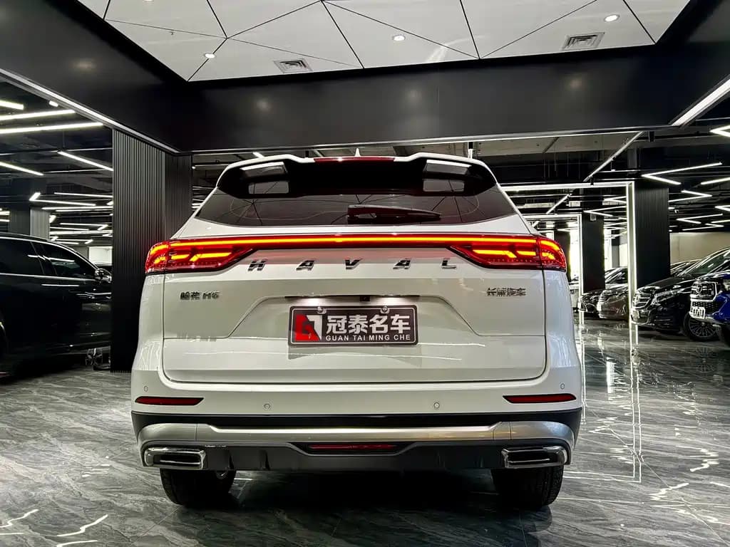 Haval H6 2021 National Trend Edition 1.5T Auto Champion Edition — фото 6