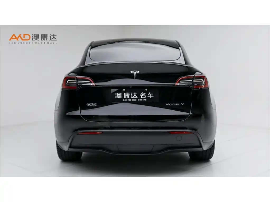 Tesla Model Y 2022 RWD Drive Dynamic Edition — фото 4
