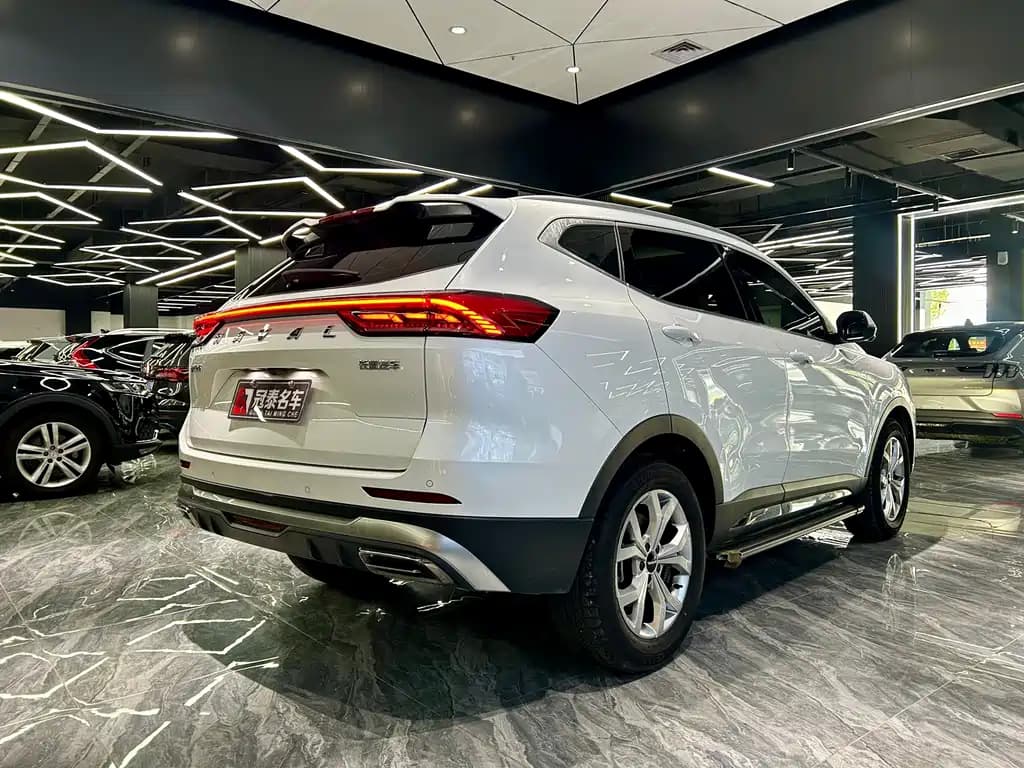 Haval H6 2021 National Trend Edition 1.5T Auto Champion Edition — фото 5