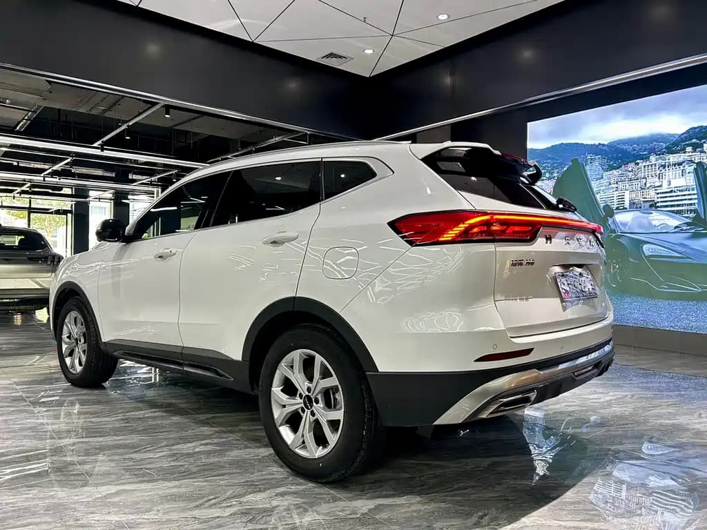Haval H6 2021 National Trend Edition 1.5T Auto Champion Edition — фото 7