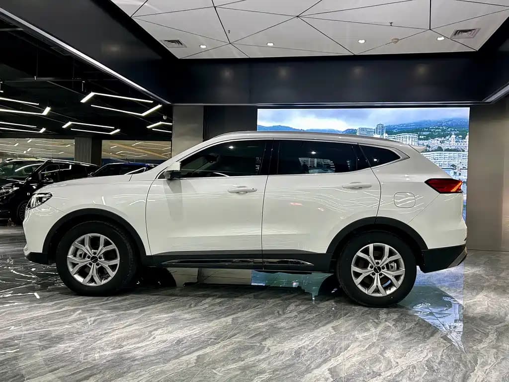 Haval H6 2021 National Trend Edition 1.5T Auto Champion Edition — фото 8