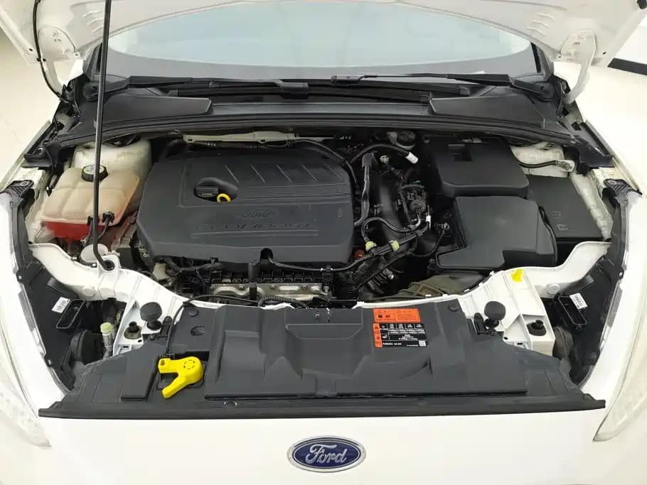 Ford Focus 2015 Hatchback EcoBoost 180 Auto Elite Type — фото 10